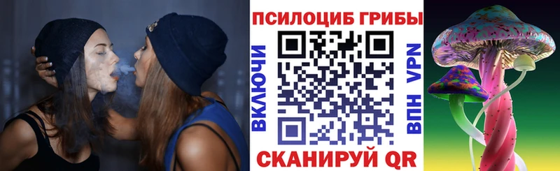 Галлюциногенные грибы Psilocybe наркота мориарти официальный сайт Чёрмоз